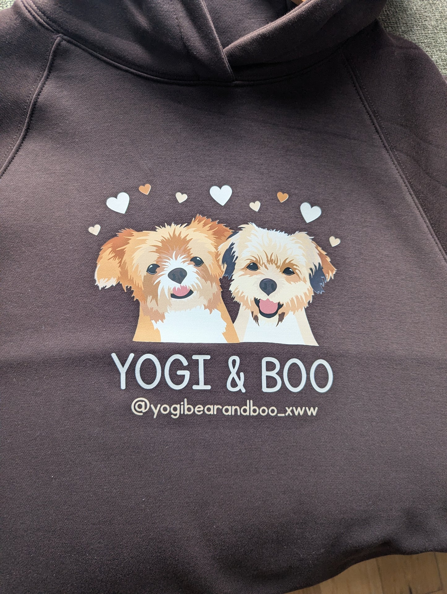 Personalised Pet Hoody 3 Pets