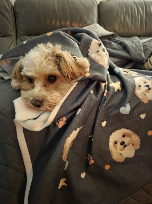 Personalised Dog Fleece Blanket for Dogs