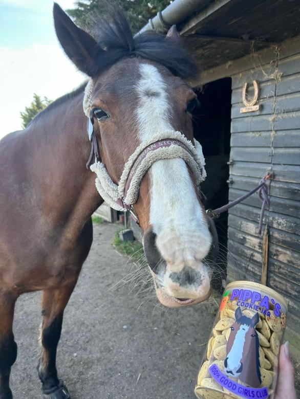 Personalised Treat Jar for Horses,Treat Jar Glass with Bamboo Lid Medium