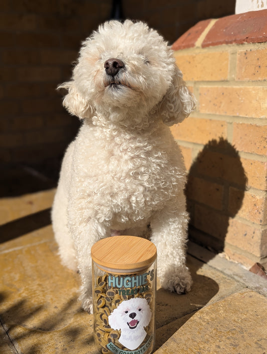 Personalised Treat Jar for Dogs,Treat Jar Glass with Bamboo Lid Medium