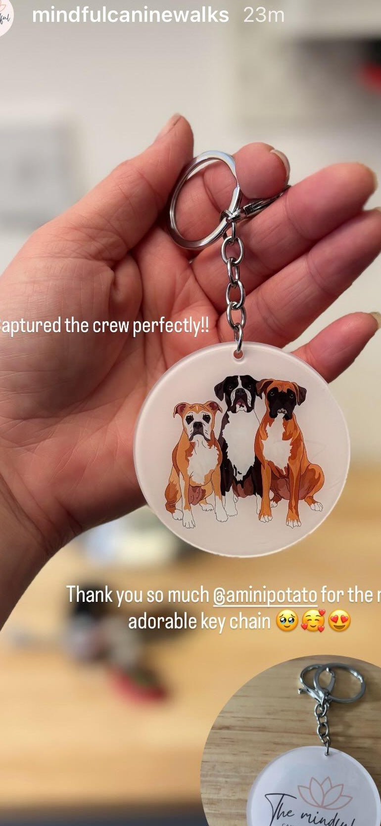 Custom Acrylic Keyrings 3 Pets