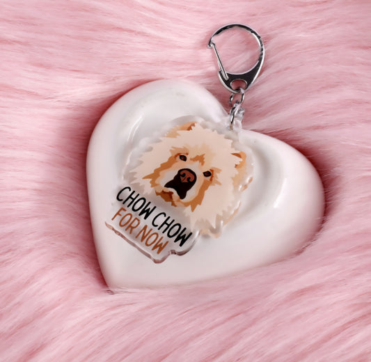Custom Acrylic Keyrings 1 Pet