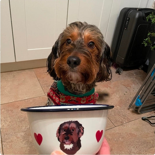 Enamel Dog Bowl Personalised