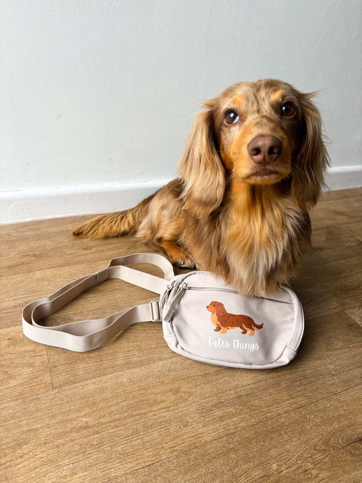 Personalised Dog Walking Across Body Bag