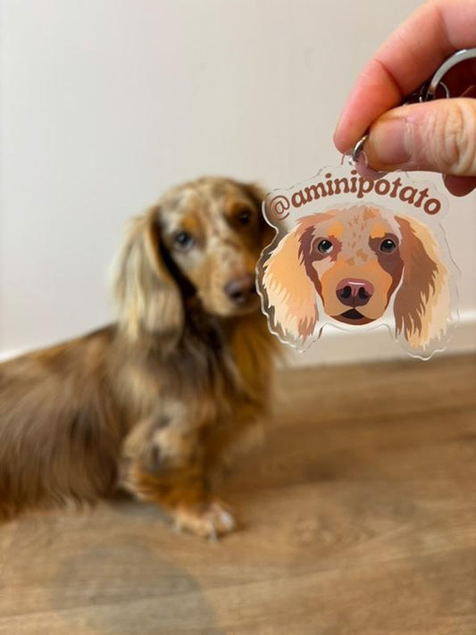 Custom Acrylic Keyrings 1 Pet